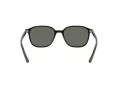 Ray-Ban Leonard RB 2193 901/58 53 Men, Women sunglasses