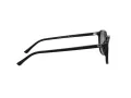 Ray-Ban Leonard RB 2193 901/58 53 Men, Women sunglasses