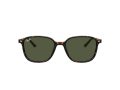 Ray-Ban Leonard RB 2193 902/31 53 Men, Women sunglasses