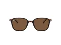 Ray-Ban Leonard RB 2193 902/57 53 Men, Women sunglasses