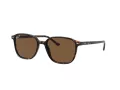 Ray-Ban Leonard RB 2193 902/57 53 Men, Women sunglasses