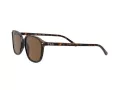 Ray-Ban Leonard RB 2193 902/57 53 Men, Women sunglasses