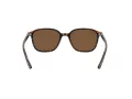 Ray-Ban Leonard RB 2193 902/57 53 Men, Women sunglasses