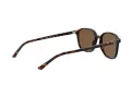 Ray-Ban Leonard RB 2193 902/57 53 Men, Women sunglasses