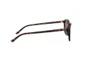 Ray-Ban Leonard RB 2193 902/57 53 Men, Women sunglasses