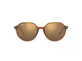 Ray-Ban Thalia RB 2195 6636/93 51 Men, Women sunglasses
