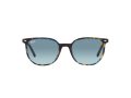 Ray-Ban Elliot RB 2197 13563M 52 Men, Women sunglasses