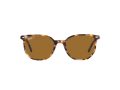 Ray-Ban Elliot RB 2197 1357/57 50 Men, Women sunglasses