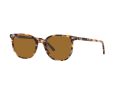 Ray-Ban Elliot RB 2197 1357/57 50 Men, Women sunglasses