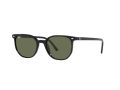 Ray-Ban Elliot RB 2197 901/31 50 Men, Women sunglasses