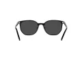 Ray-Ban Elliot RB 2197 901/48 52 Men, Women sunglasses