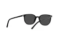 Ray-Ban Elliot RB 2197 901/48 52 Men, Women sunglasses