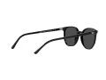 Ray-Ban Elliot RB 2197 901/48 52 Men, Women sunglasses