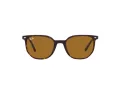 Ray-Ban Elliot RB 2197 902/33 52 Men, Women sunglasses