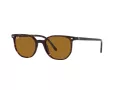 Ray-Ban Elliot RB 2197 902/33 52 Men, Women sunglasses
