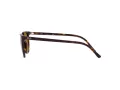 Ray-Ban Elliot RB 2197 902/33 52 Men, Women sunglasses