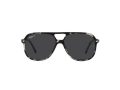 Ray-Ban Bill RB 2198 1333/48 56 Men, Women sunglasses
