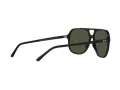 Ray-Ban Bill RB 2198 901/31 56 Men, Women sunglasses
