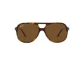Ray-Ban Bill RB 2198 902/57 56 Men, Women sunglasses