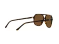 Ray-Ban Bill RB 2198 902/57 56 Men, Women sunglasses