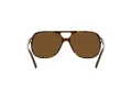 Ray-Ban Bill RB 2198 902/57 60 Men, Women sunglasses