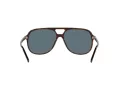 Ray-Ban Bill RB 2198 902/R5 56 Men, Women sunglasses
