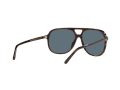 Ray-Ban Bill RB 2198 902/R5 60 Men, Women sunglasses