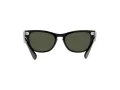 Ray-Ban Laramie RB 2201 901/31 54 Men, Women sunglasses
