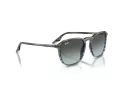 Ray-Ban RB 0RB2203 1391GK 52 Men, Women sunglasses