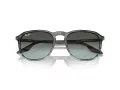 Ray-Ban RB 0RB2203 1391GK 52 Men, Women sunglasses