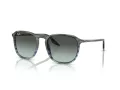 Ray-Ban RB 0RB2203 1391GK 52 Men, Women sunglasses