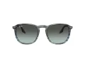 Ray-Ban RB 0RB2203 1391GK 55 Men, Women sunglasses