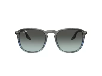 Ray-Ban RB 0RB2203 1391GK 55 Men, Women sunglasses