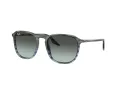 Ray-Ban RB 0RB2203 1391GK 55 Men, Women sunglasses