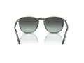 Ray-Ban RB 0RB2203 1391GK 55 Men, Women sunglasses