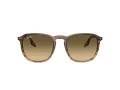 Ray-Ban RB 0RB2203 13920A 52 Men, Women sunglasses
