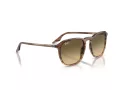 Ray-Ban RB 0RB2203 13920A 52 Men, Women sunglasses