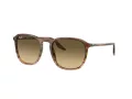 Ray-Ban RB 0RB2203 13920A 55 Men, Women sunglasses
