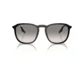 Ray-Ban RB 0RB2203 901/32 52 Men, Women sunglasses