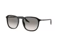 Ray-Ban RB 0RB2203 901/32 55 Men, Women sunglasses