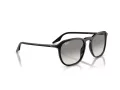Ray-Ban RB 0RB2203 901/32 55 Men, Women sunglasses