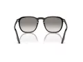 Ray-Ban RB 0RB2203 901/32 55 Men, Women sunglasses