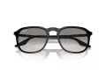 Ray-Ban RB 0RB2203 901/32 55 Men, Women sunglasses