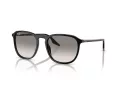 Ray-Ban RB 0RB2203 901/32 55 Men, Women sunglasses