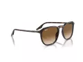 Ray-Ban RB 0RB2203 902/51 52 Men, Women sunglasses