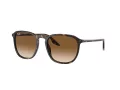 Ray-Ban RB 0RB2203 902/51 55 Men, Women sunglasses