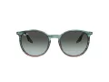 Ray-Ban RB 0RB2204 1394GK 54 Men, Women sunglasses