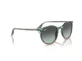 Ray-Ban RB 0RB2204 1394GK 54 Men, Women sunglasses