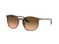 Ray-Ban RB 0RB2204 13953B 51 Men, Women sunglasses