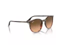 Ray-Ban RB 0RB2204 13953B 51 Men, Women sunglasses